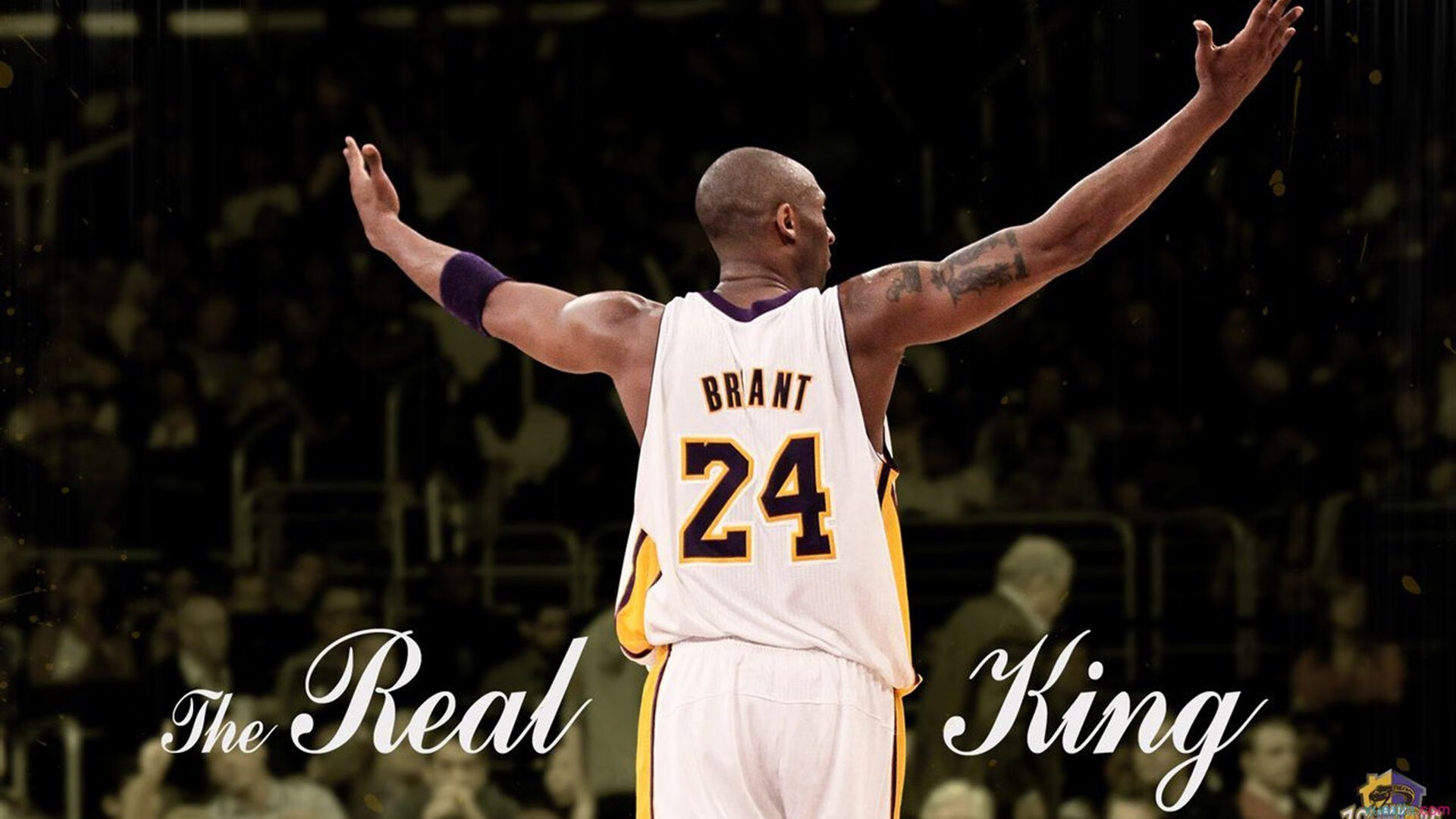 德约再度夺冠,生涯纪录再添新页,德约单打冠军数